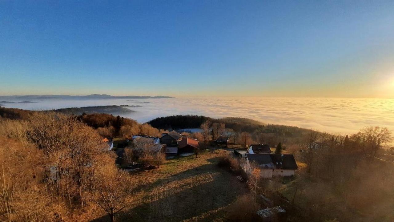 Traumblick Bayerischer Wald, Pool & Sauna, Getraenke, Klimaanlage Freyung Extérieur photo