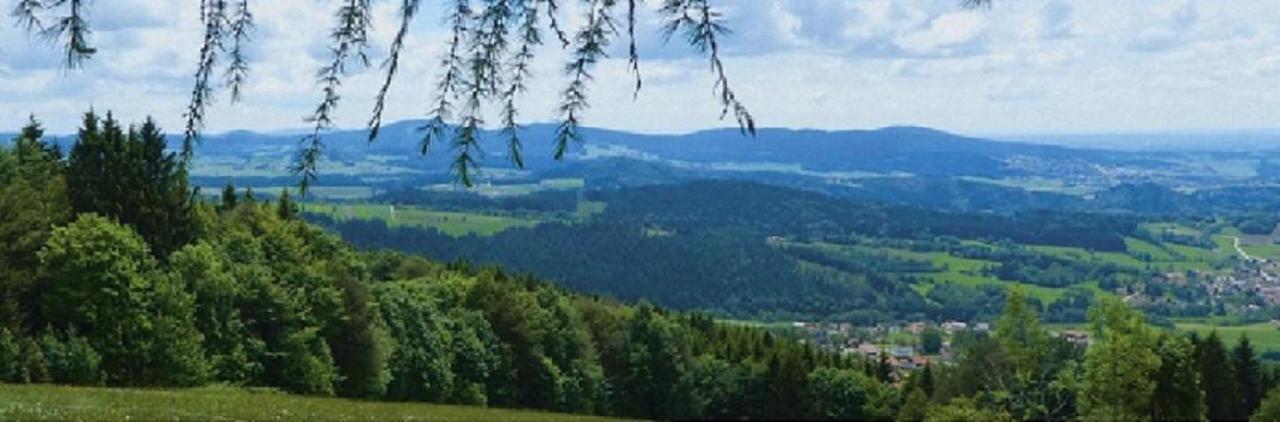 Traumblick Bayerischer Wald, Pool & Sauna, Getraenke, Klimaanlage Freyung Extérieur photo