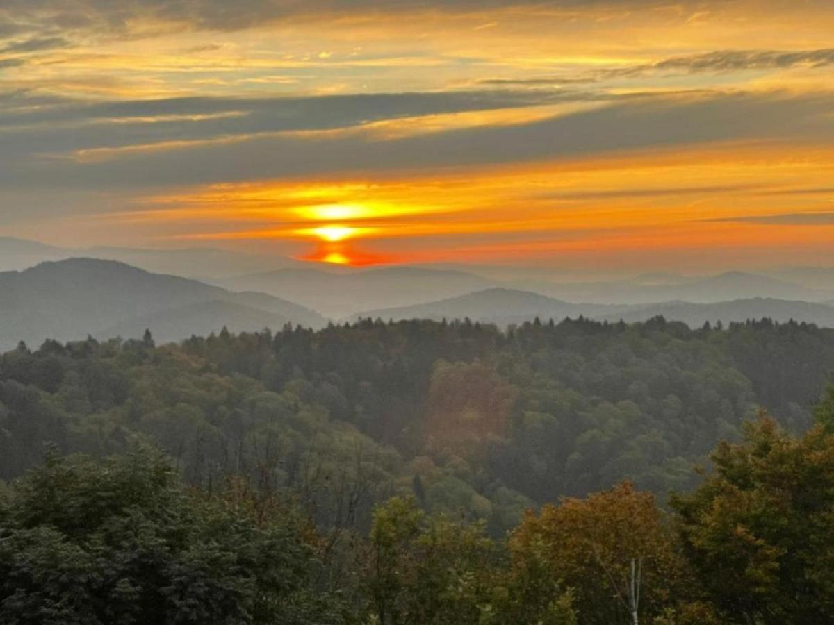 Traumblick Bayerischer Wald, Pool & Sauna, Getraenke, Klimaanlage Freyung Extérieur photo