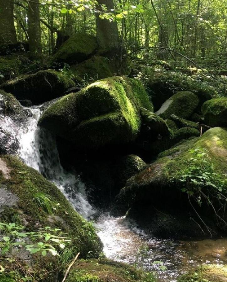 Traumblick Bayerischer Wald, Pool & Sauna, Getraenke, Klimaanlage Freyung Extérieur photo