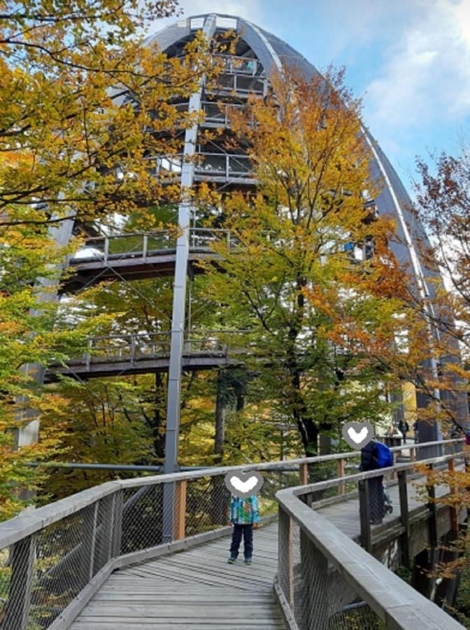 Traumblick Bayerischer Wald, Pool & Sauna, Getraenke, Klimaanlage Freyung Extérieur photo