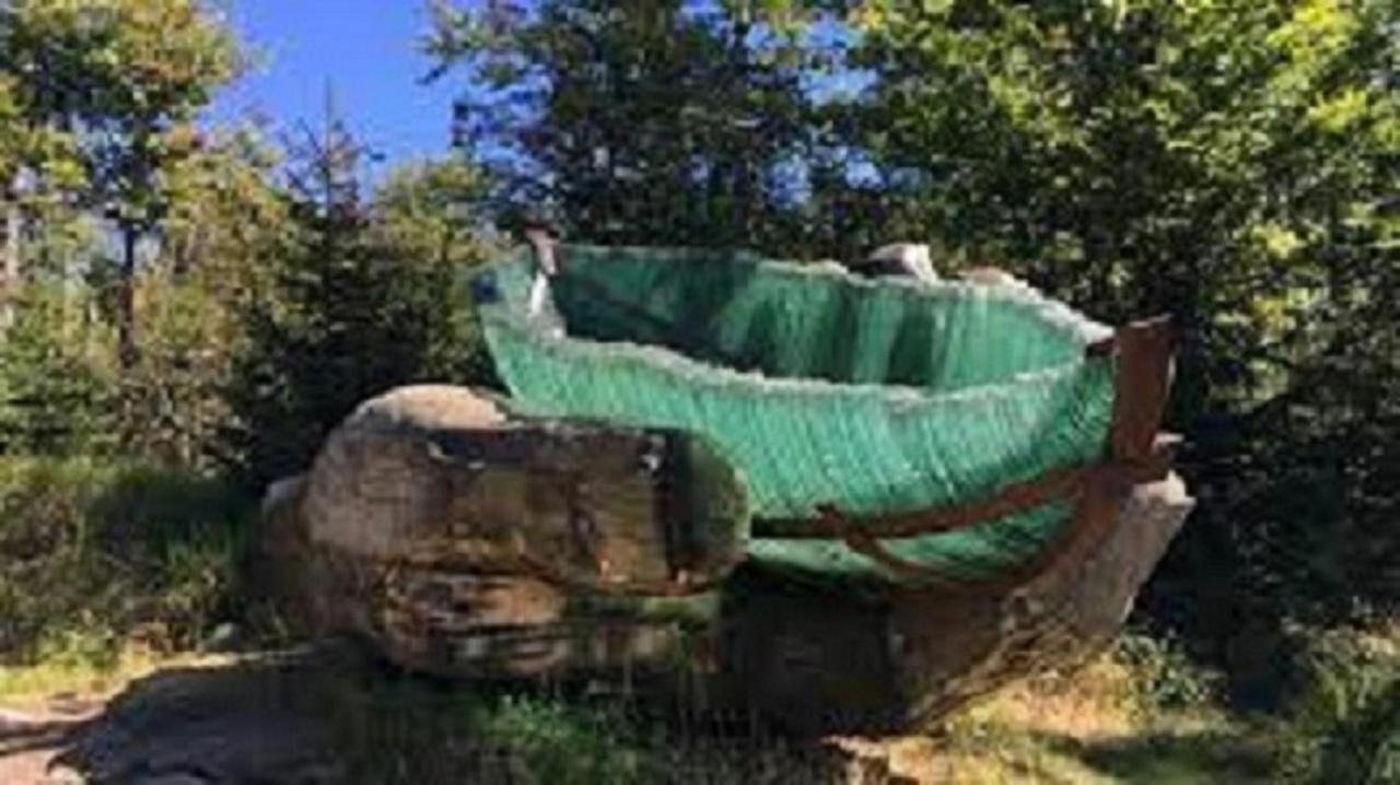 Traumblick Bayerischer Wald, Pool & Sauna, Getraenke, Klimaanlage Freyung Extérieur photo