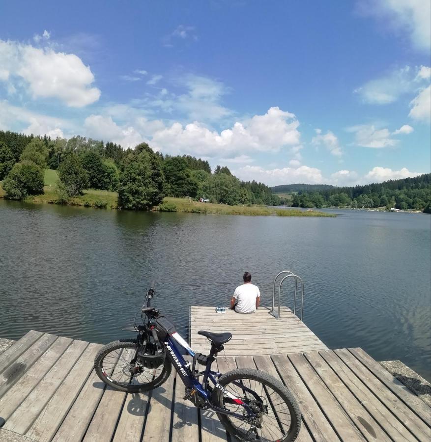 Traumblick Bayerischer Wald, Pool & Sauna, Getraenke, Klimaanlage Freyung Extérieur photo