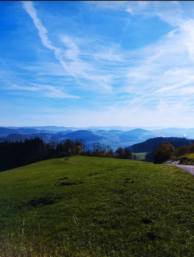 Traumblick Bayerischer Wald, Pool & Sauna, Getraenke, Klimaanlage Freyung Extérieur photo